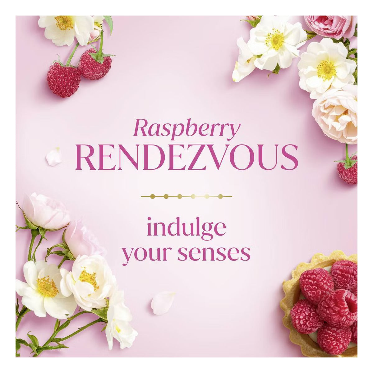 Dove x Bridgerton — Raspberry Rendezvous Limited Edition Body Wash (20 oz)