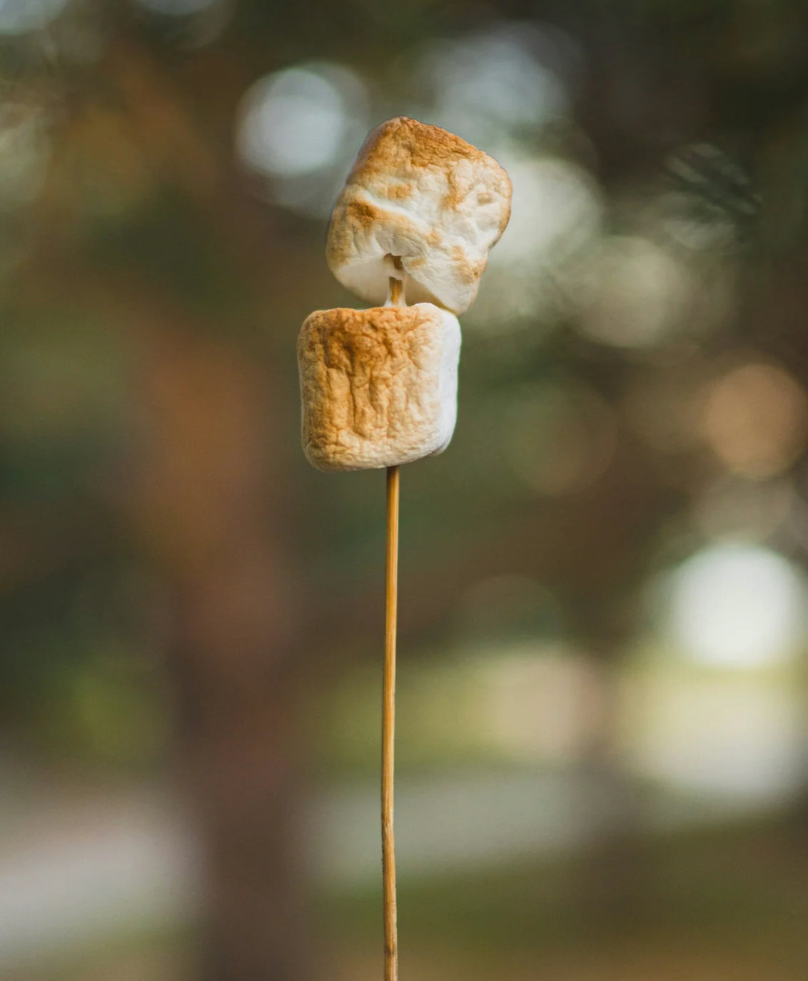Sand & Fog –Toasted Marshmallow   50 ml Perfume Oil Dropper