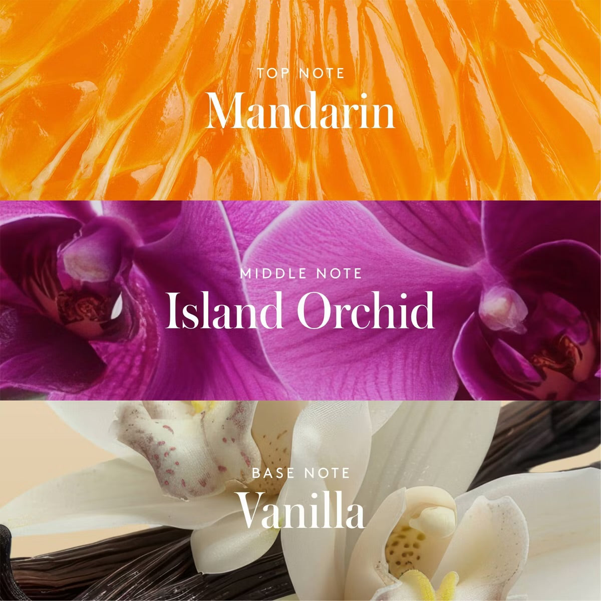 Athena Club – Dry Touch Deo Body Spray (4 oz)