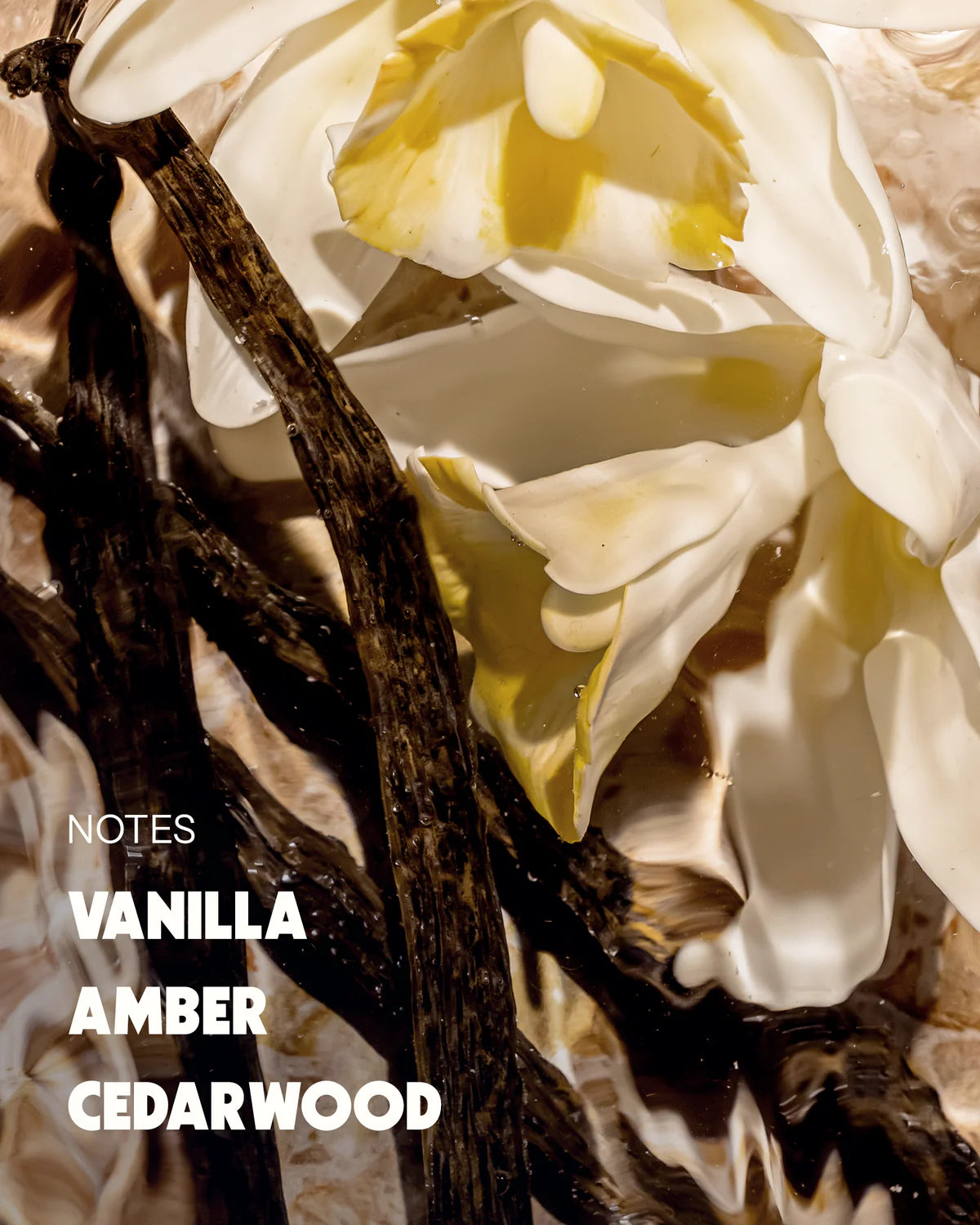 Lights Lacquer - Amber Hour Hair & Body Mist