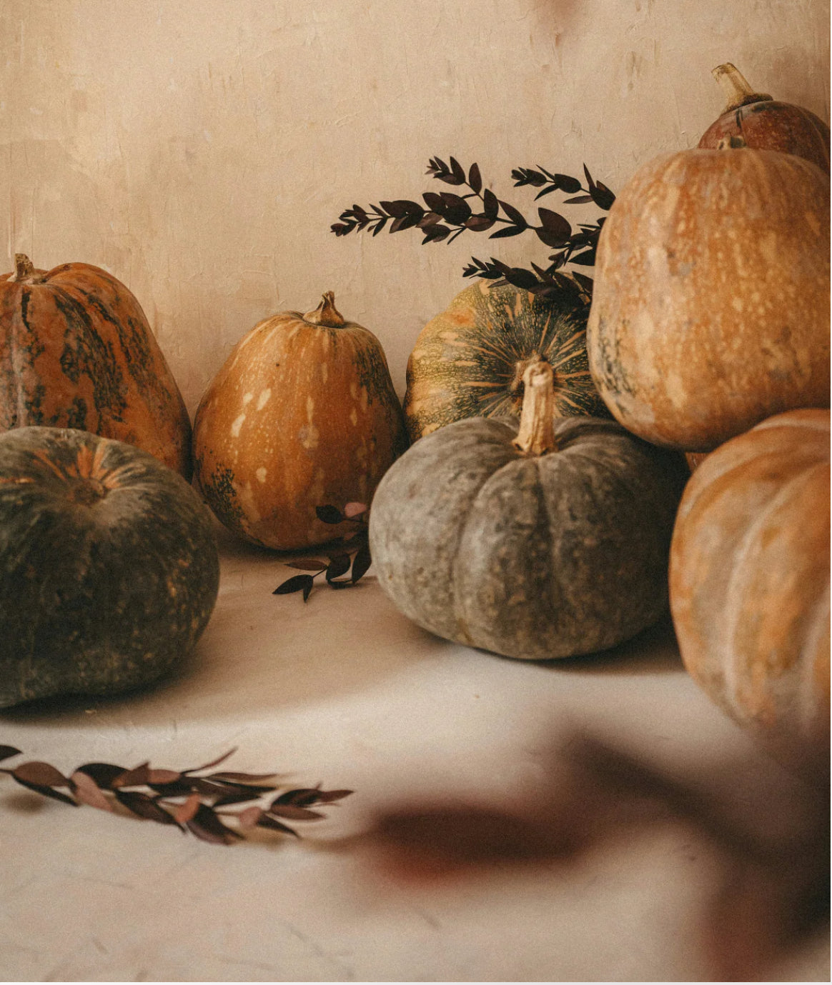 Sand & Fog – Pumpkin Crème 50 ml Perfume Oil Dropper