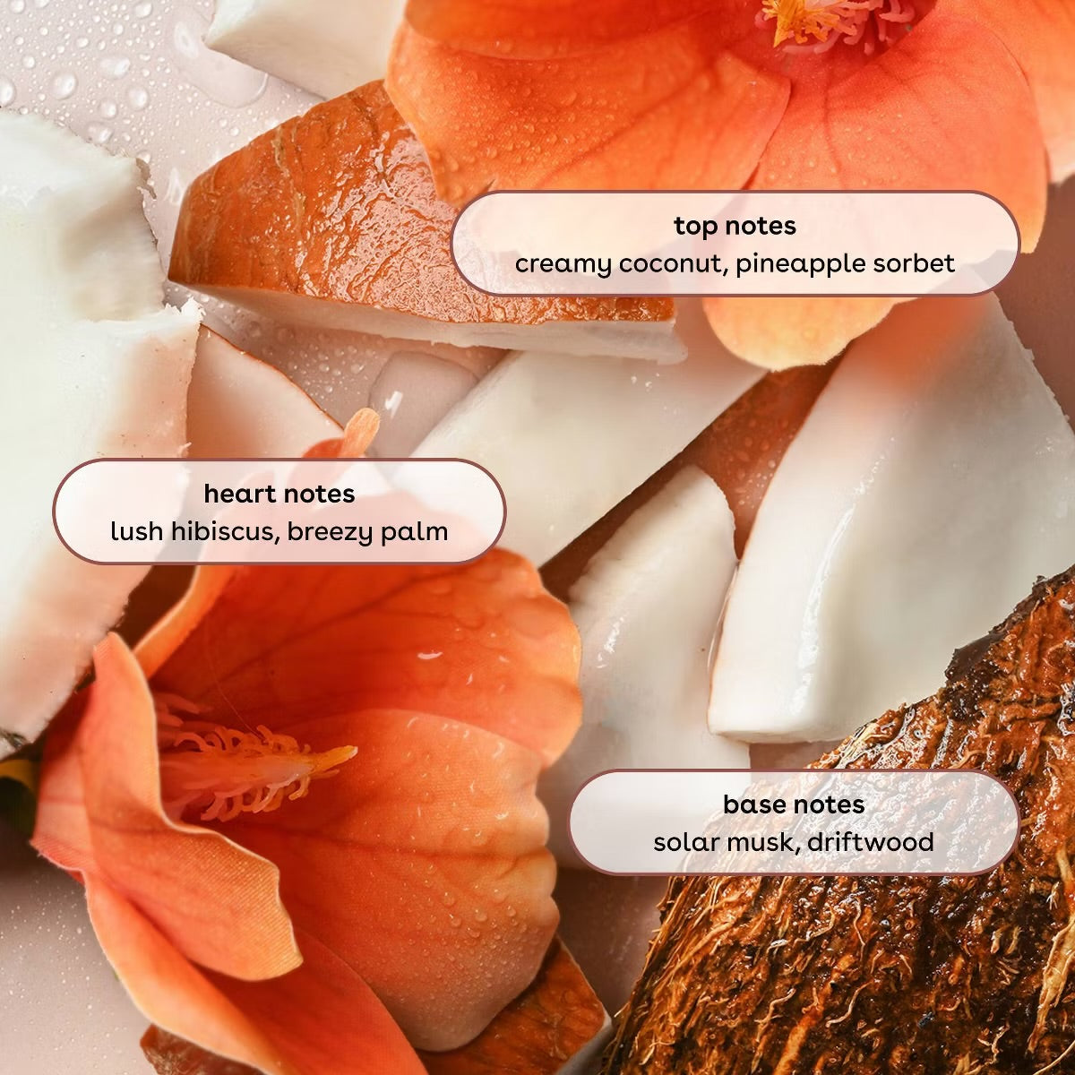 eos — Spritz for Every Mood Body Mist  (Full Collection)