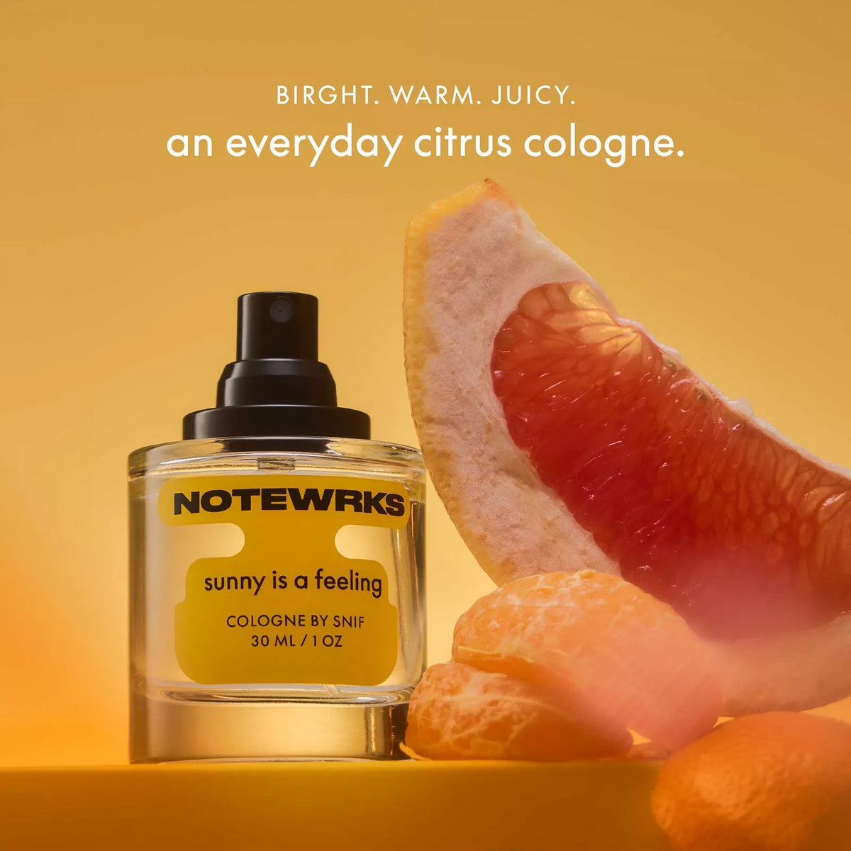 Snif - Notewrks Cologne