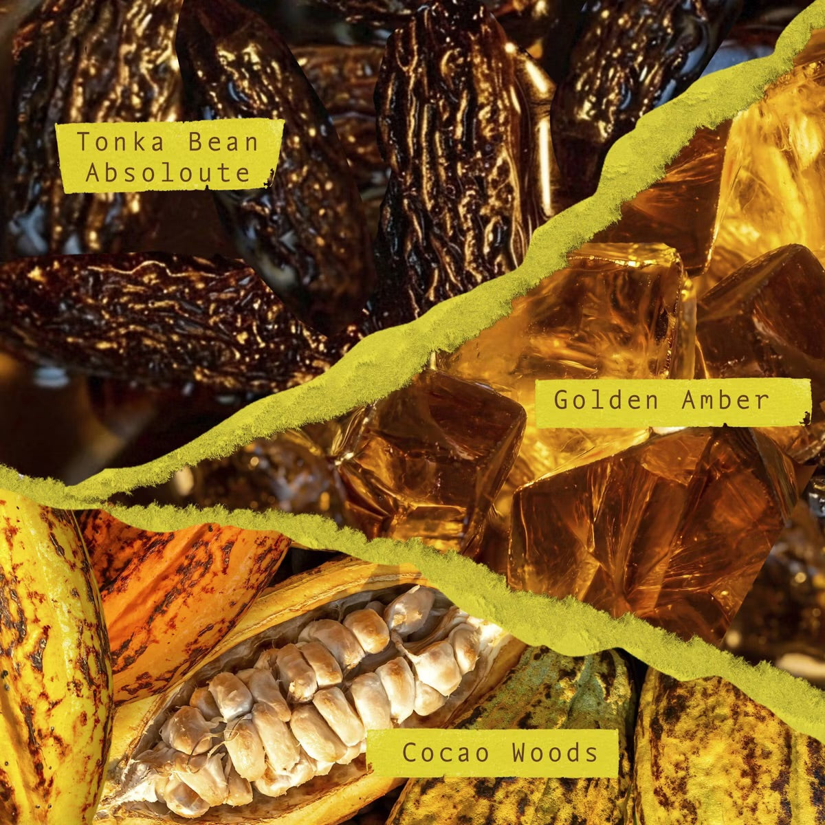 Scents Unearth’d - Eau de Parfum Collection