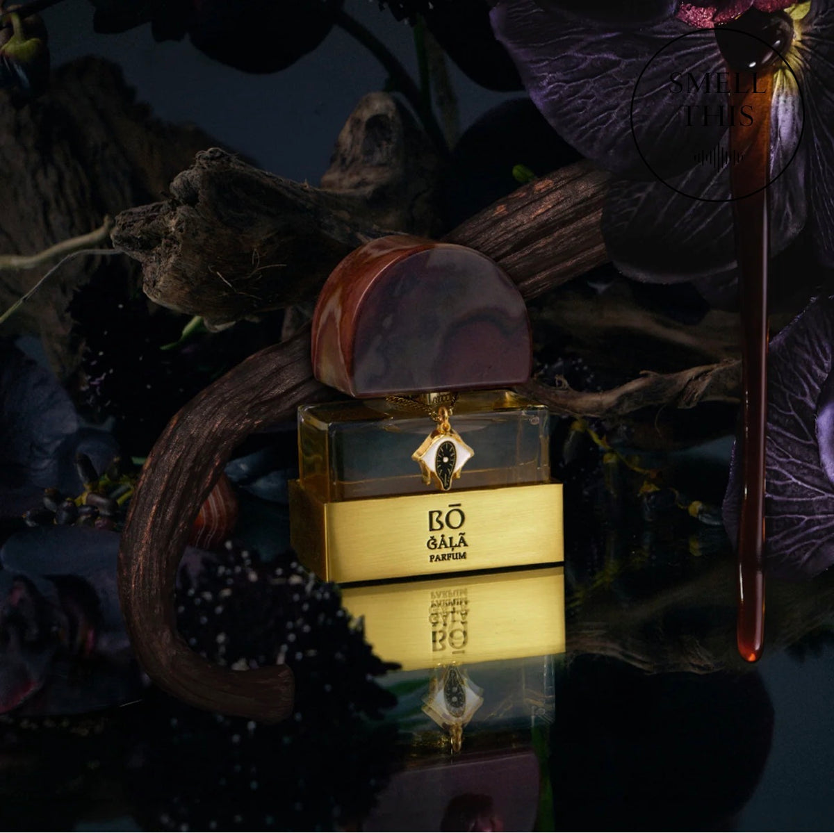 House of Bō - BLACK ĞÅĻÃ Extrait de Parfum