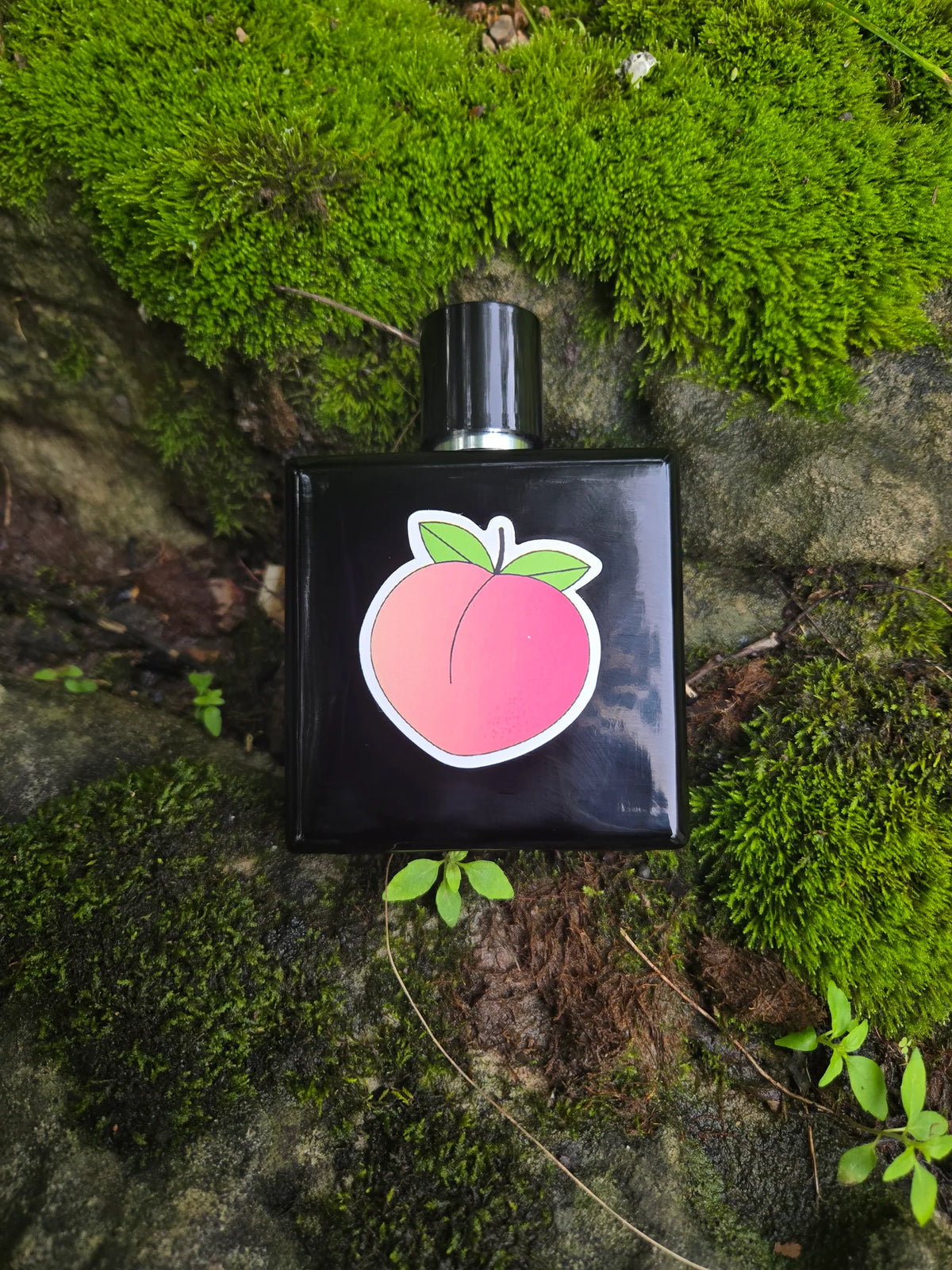 Siren Alchemy - Extrait de Parfum Collection