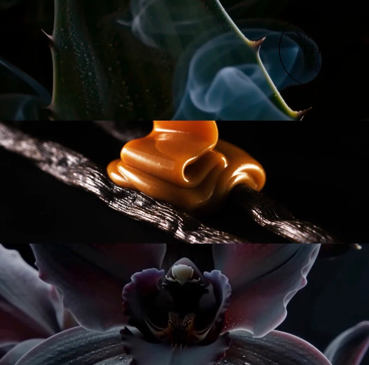 House of Bō - BLACK ĞÅĻÃ Extrait de Parfum