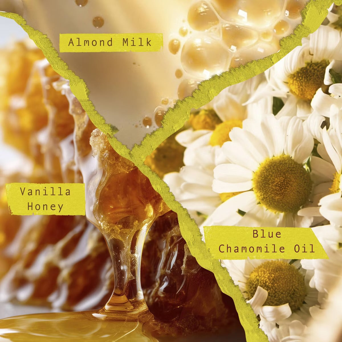 Scents Unearth’d - Eau de Parfum Collection