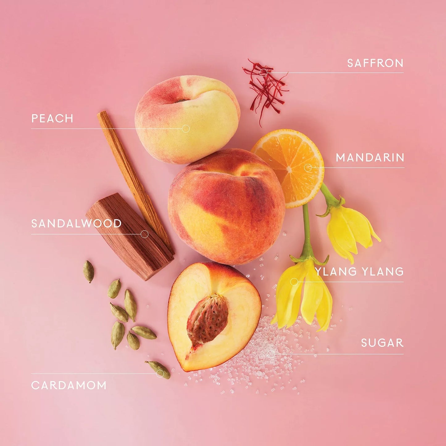 Lake & Skye — Sueded Peach Eau de Parfum