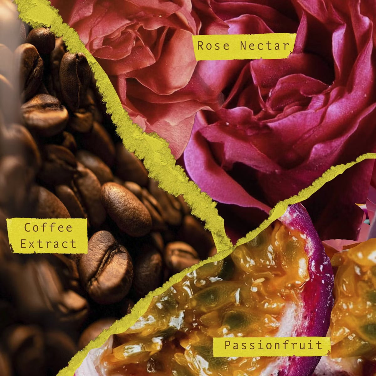 Scents Unearth’d - Eau de Parfum Collection