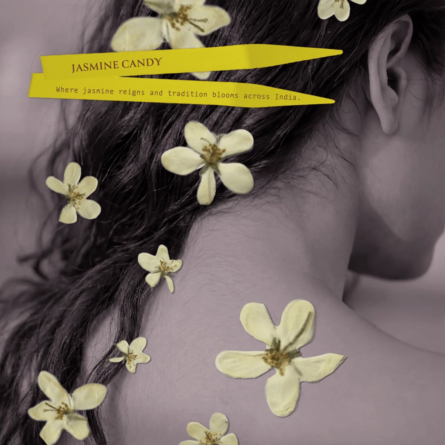 Scents Unearth’d - Eau de Parfum Collection
